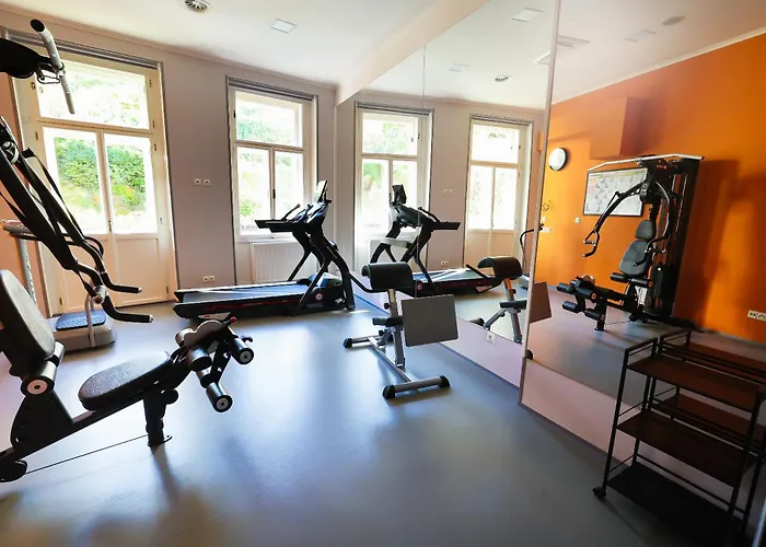 Otel Boutique Ambiente ****+ Karlovy Vary